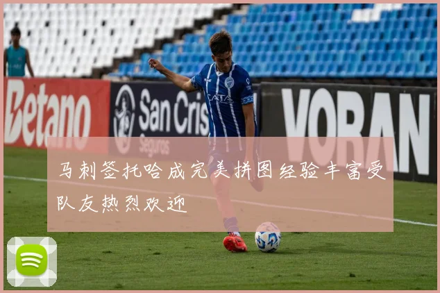 马刺签托哈成完美拼图经验丰富受队友热烈欢迎