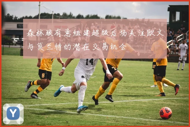 森林狼有意组建超级后场关注欧文与莫兰特的潜在交易机会